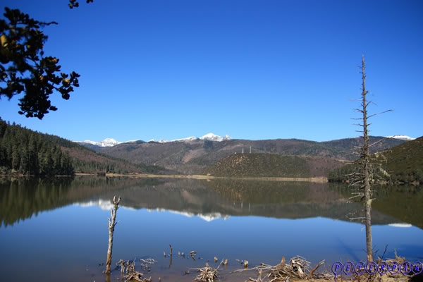 shangri-la228.jpg
