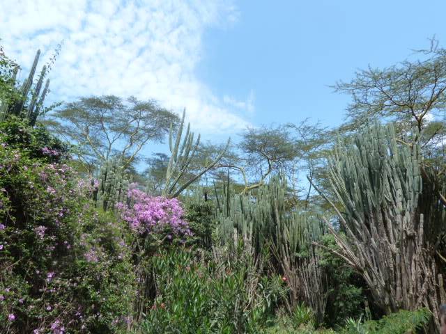 L1010774.jpg