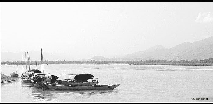 DSC_0803.jpg