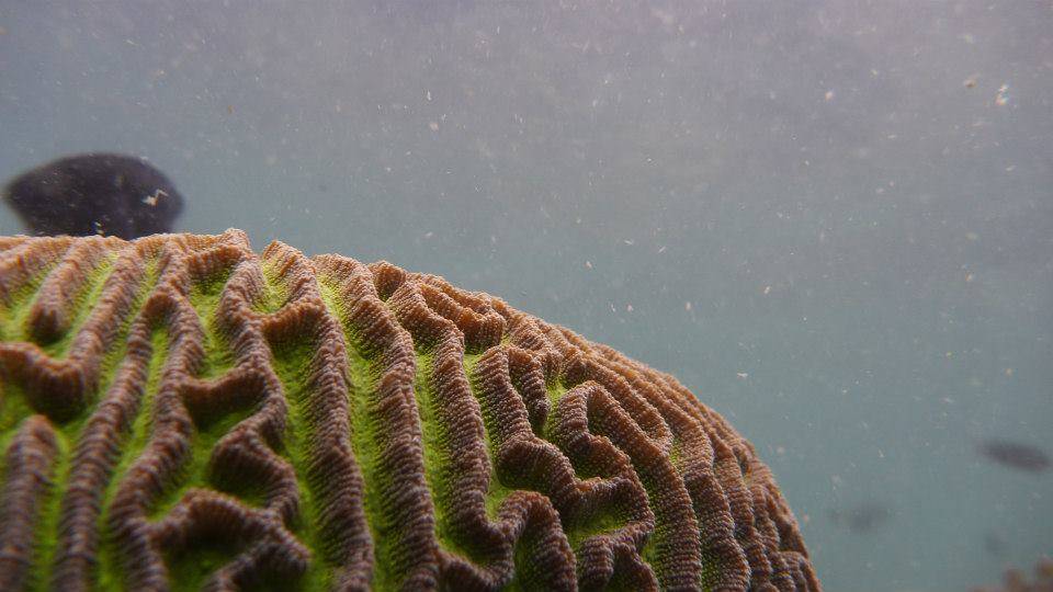 1591_zps85105970.jpg