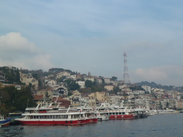 L1020687.jpg