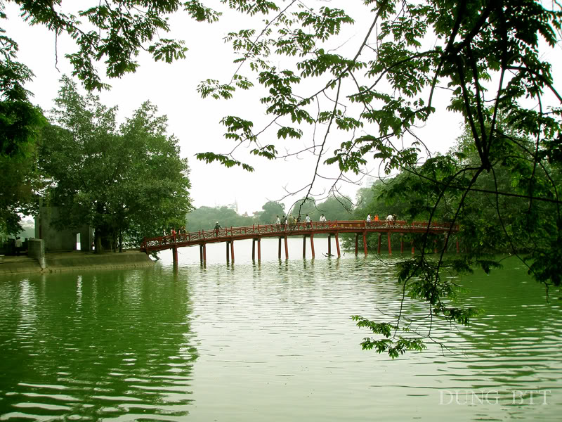 HNI120.jpg