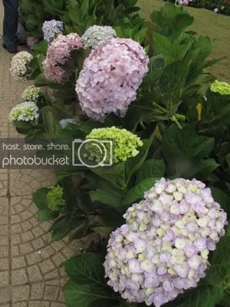 IMG_5786.jpg