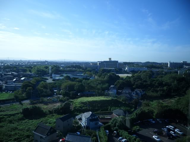 SAM_3264.jpg