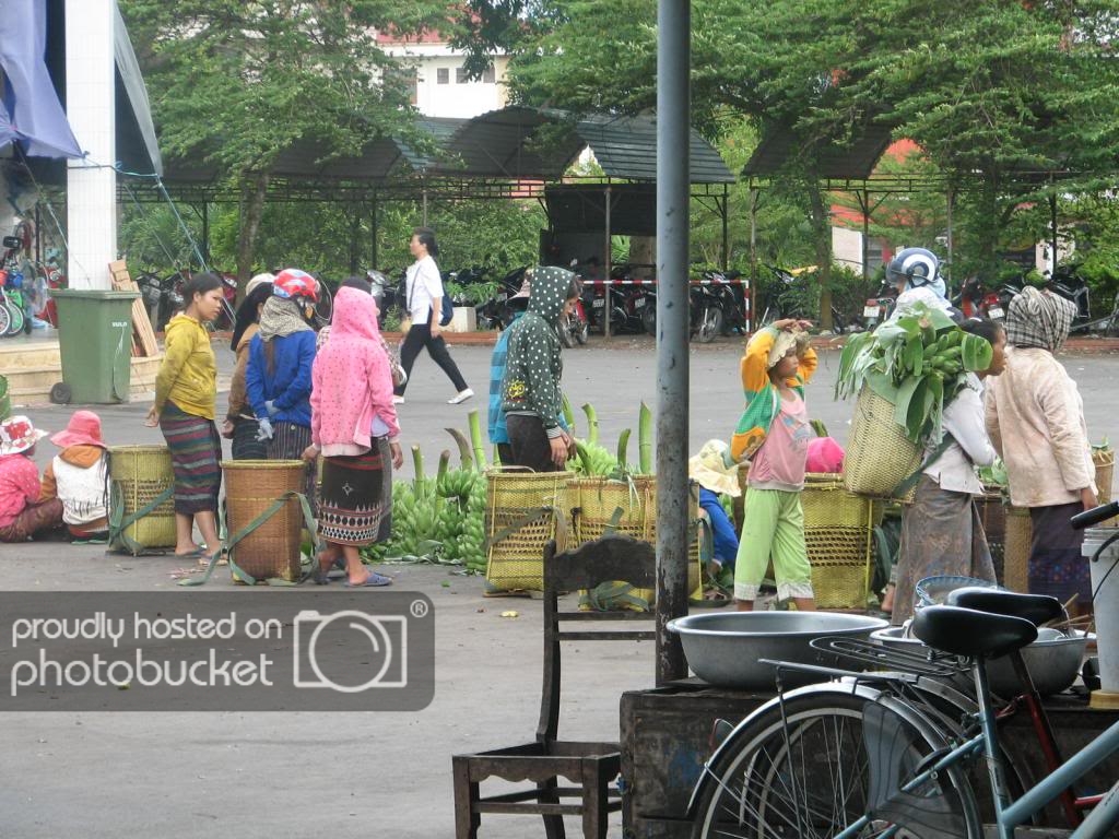 IMG_0455_zps18227aca.jpg