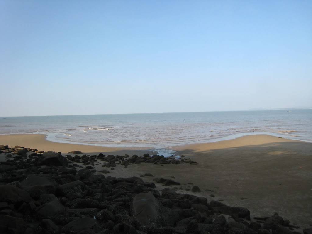 IMG_1571.jpg