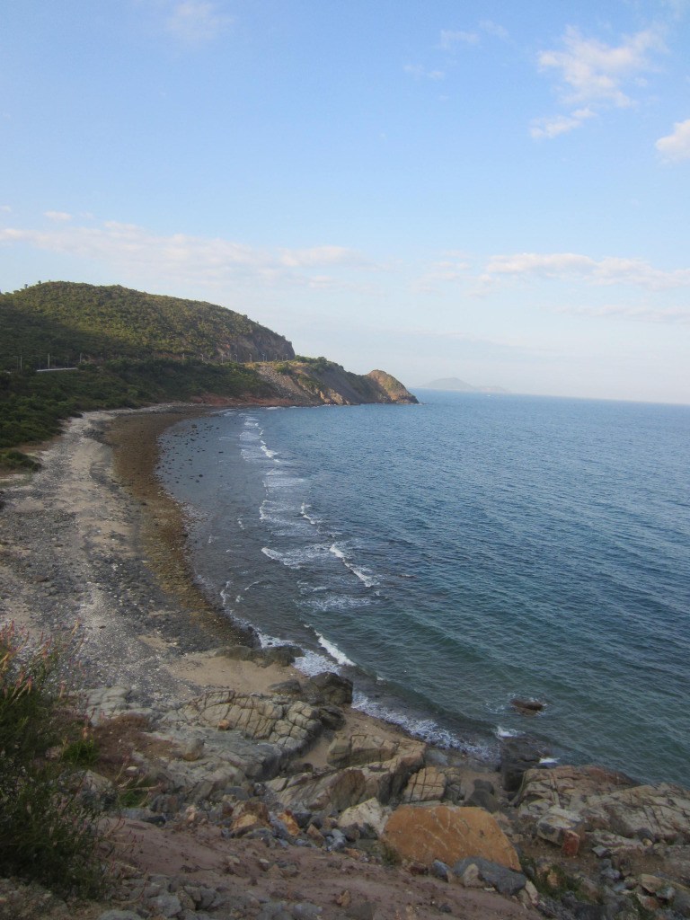 IMG_6525.jpg