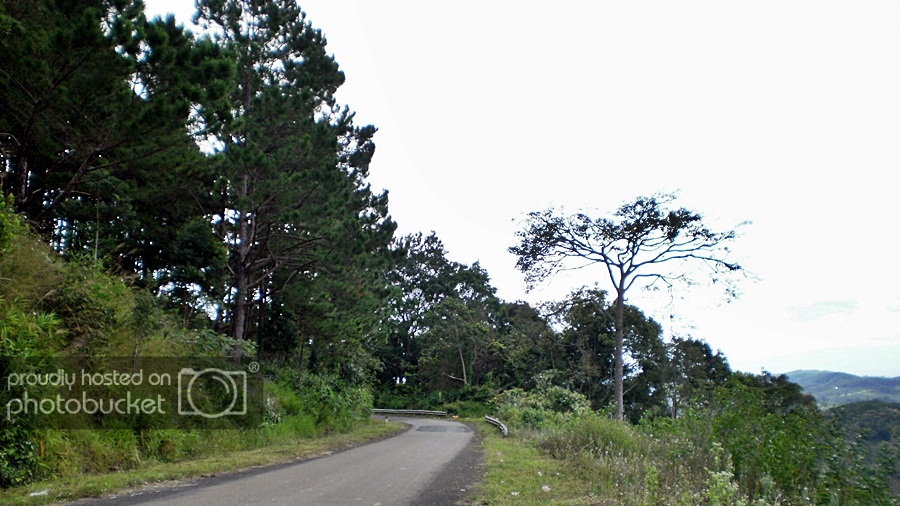 P1010141_zpsed2a1073.jpg
