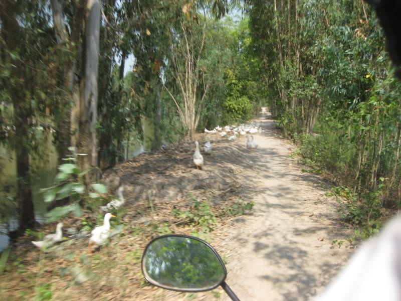 DongThapTET2011378.jpg
