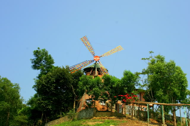 IMG_7993.jpg