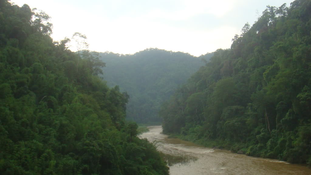 DSC01134.jpg