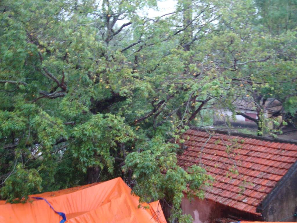 DSC00861.jpg