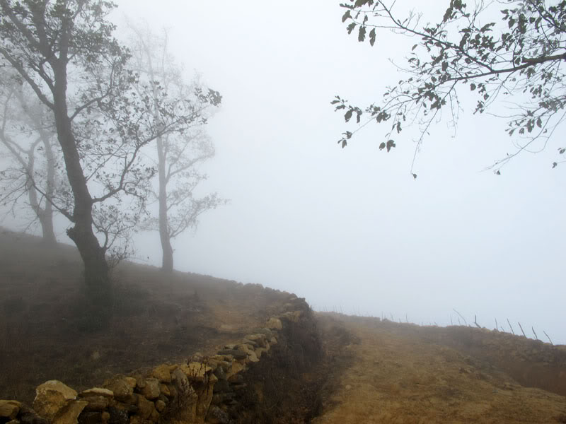 HongNgai2011566.jpg