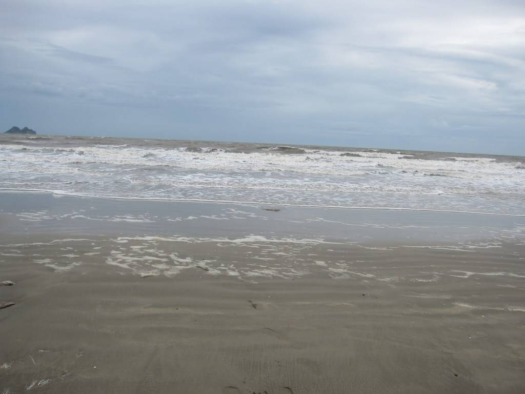 IMG_1600.jpg