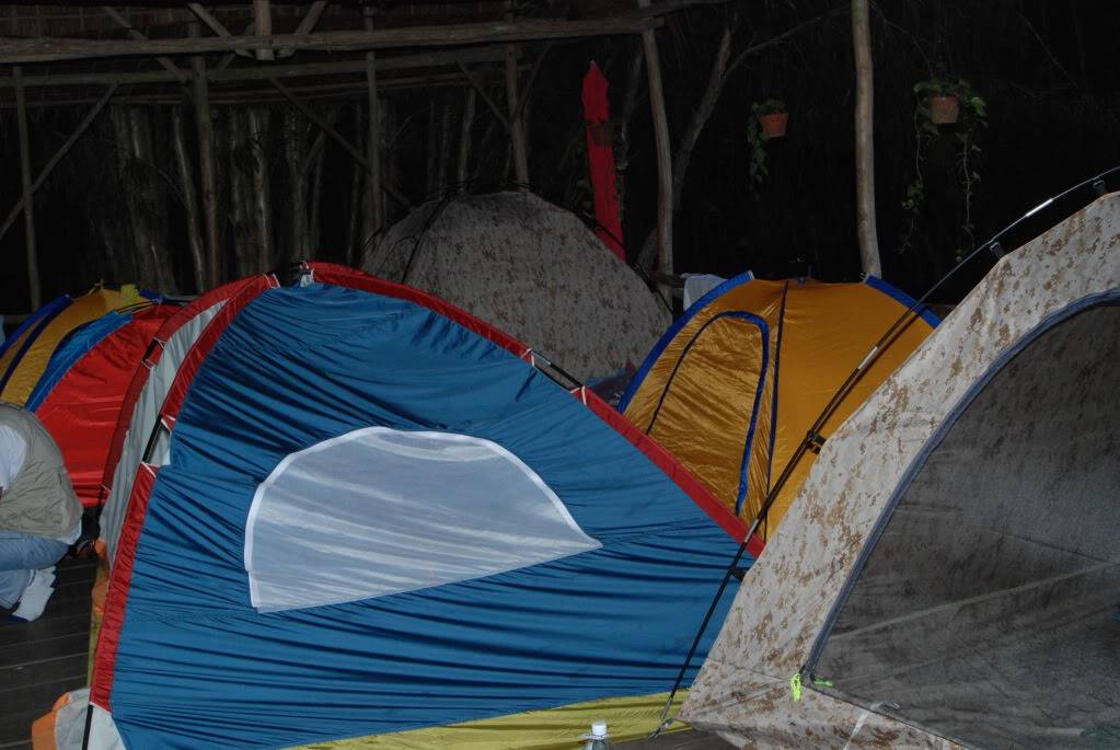 DSC_0514.jpg