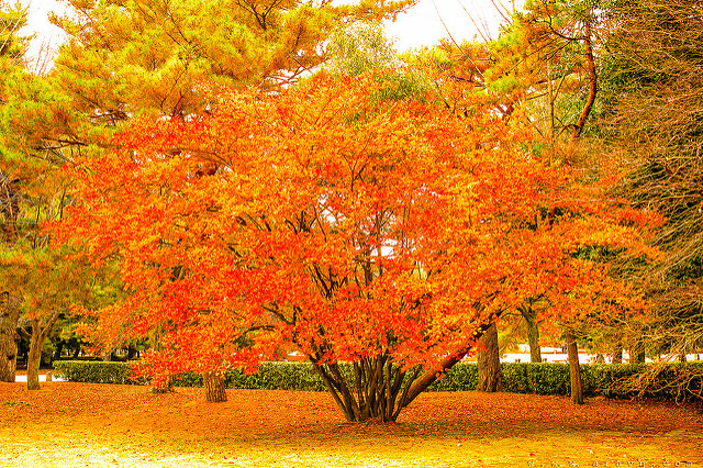 9509173816_f0aab3c0a8_z.jpg