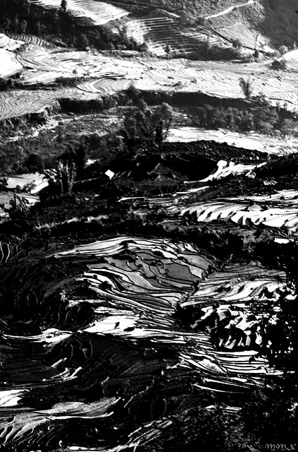 7374961600_ba554d6ea1_z.jpg