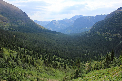 7005466376_c812f7bbd7.jpg