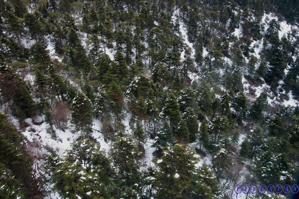shangri-la170.jpg
