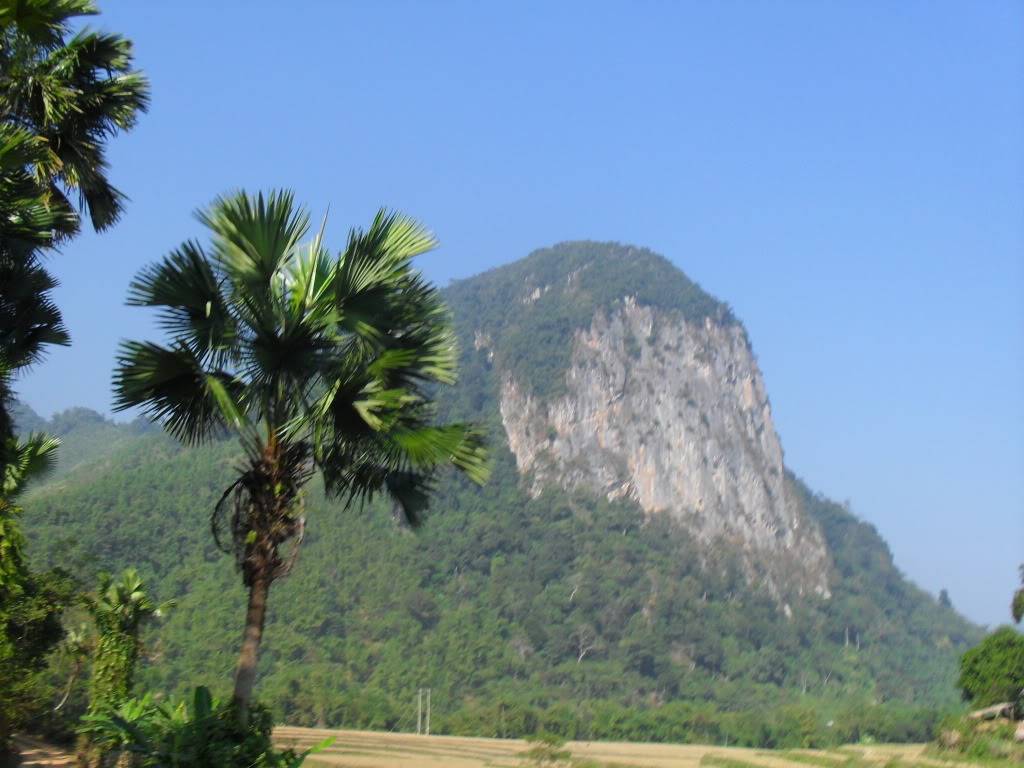 SDC10582.jpg