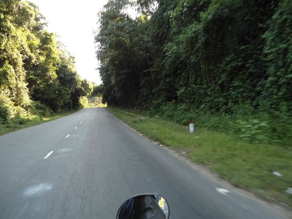 DSC00402.jpg