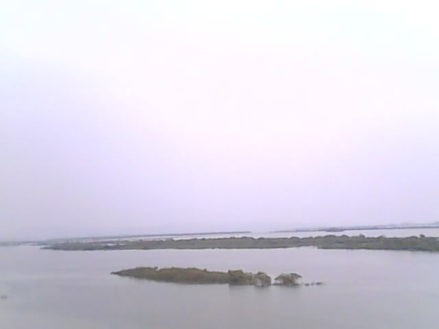IMG0054A.jpg