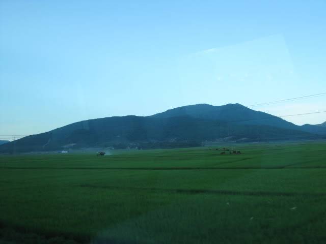 IMG_1771.jpg
