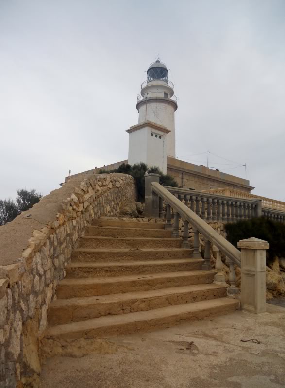 DSCN6063.jpg