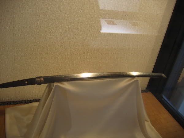 IMG_0846_resize.jpg