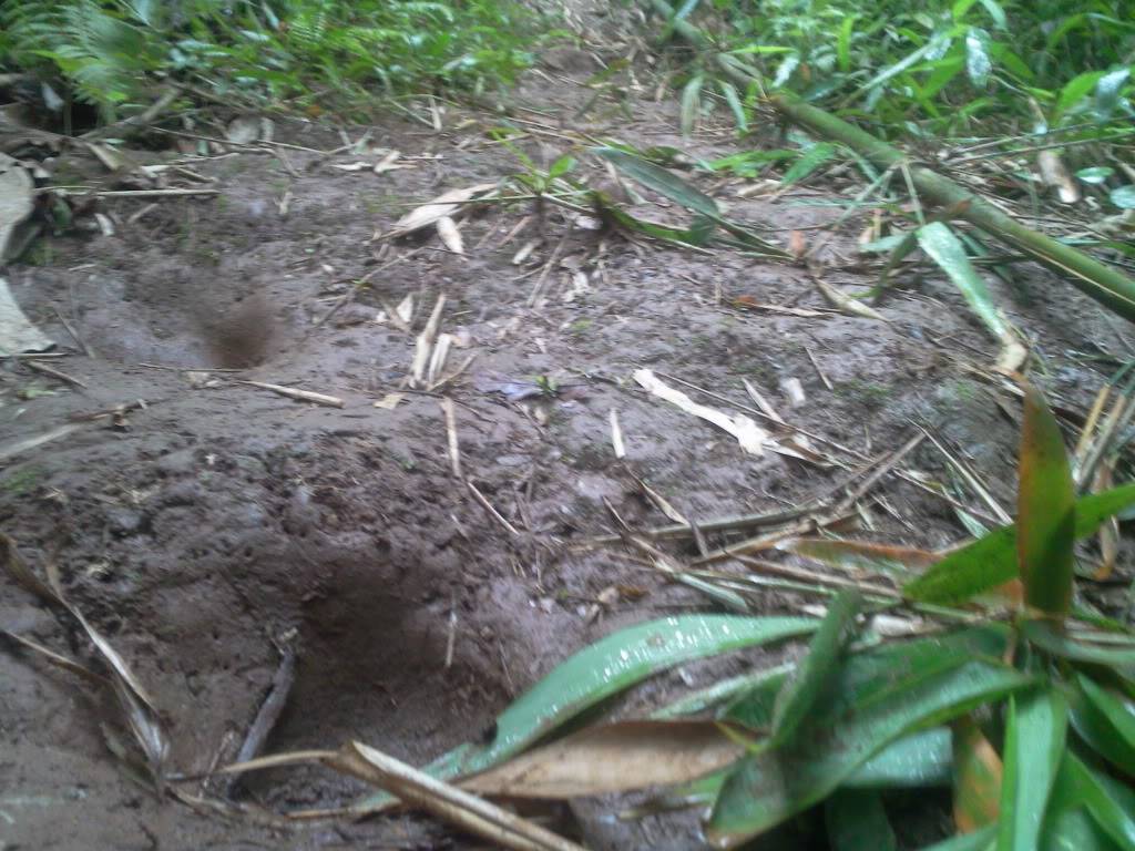 Photo0808.jpg