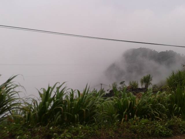 2012-10-28082929.jpg