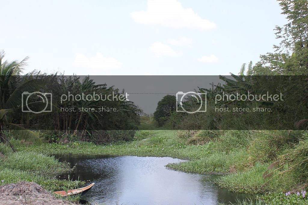 IMG_5936_zps783dc265.jpg
