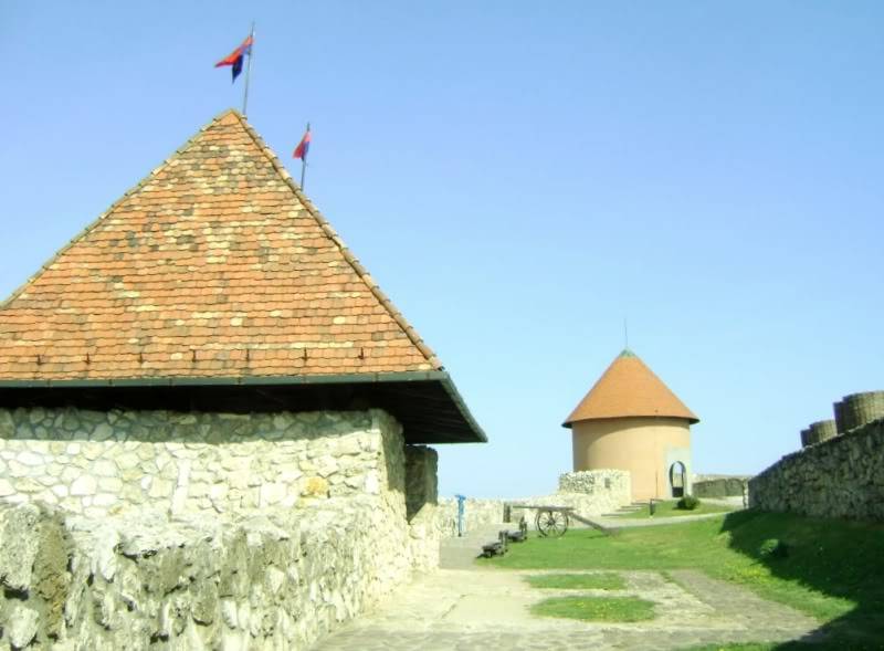 dsc05744.jpg