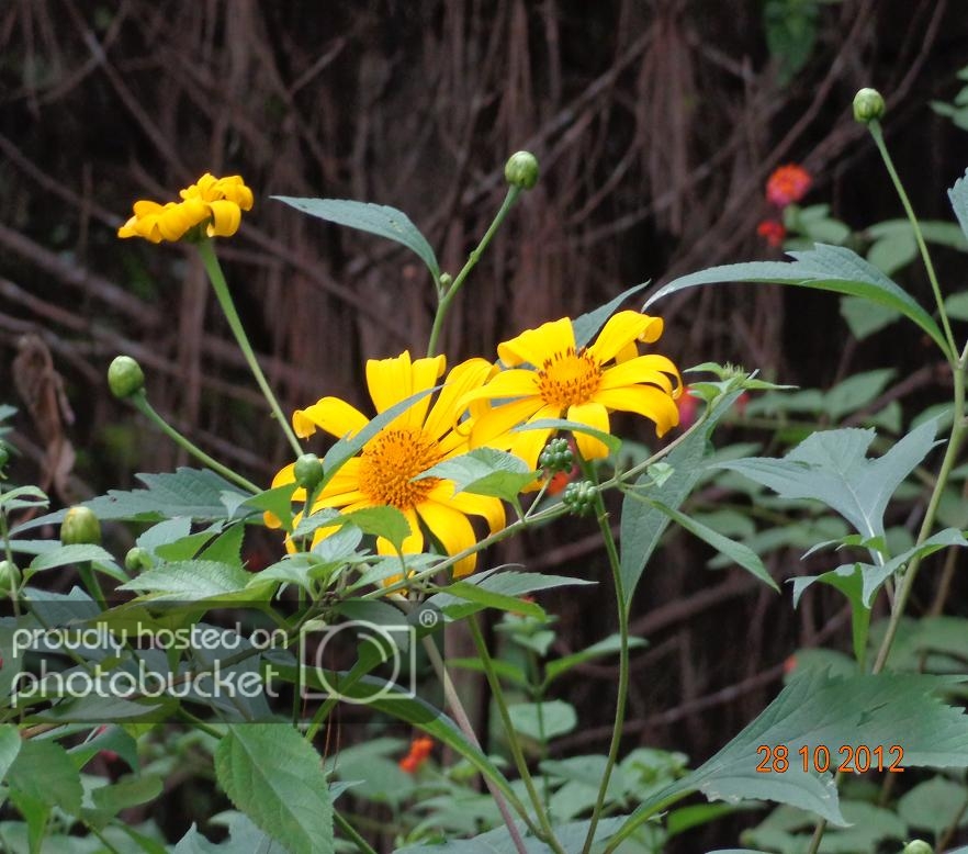 DSC00755R.jpg