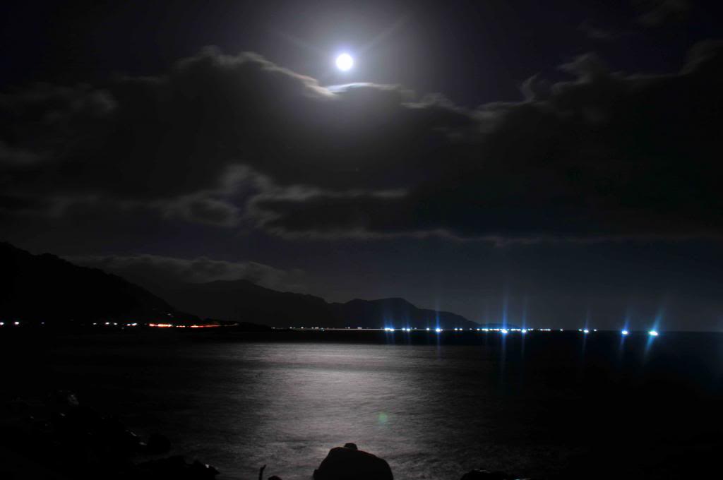 DSC_2447_zps03fc115e.jpg