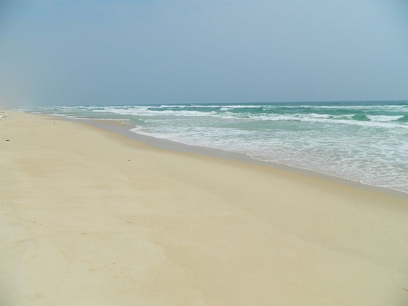 DSCN2382.jpg