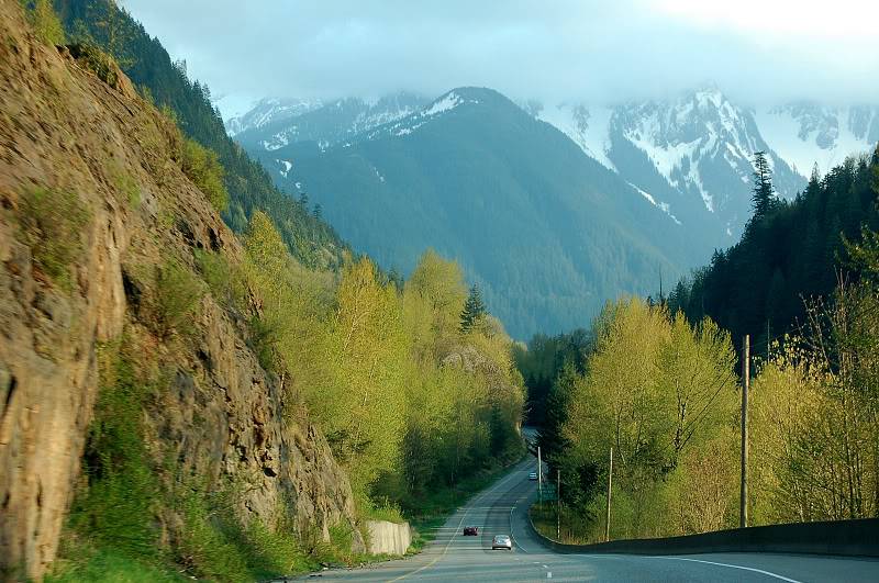 DSC_0401.jpg