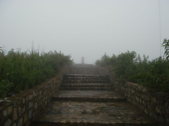 DSC08615.jpg