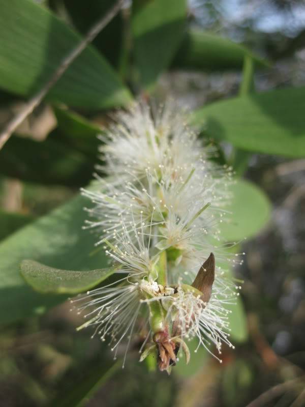 DongThapTET2011454.jpg