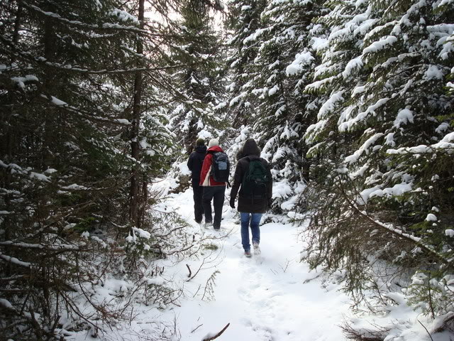 DSC06115.jpg