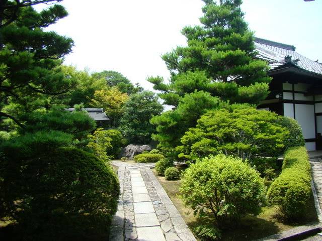 DSC00560.jpg