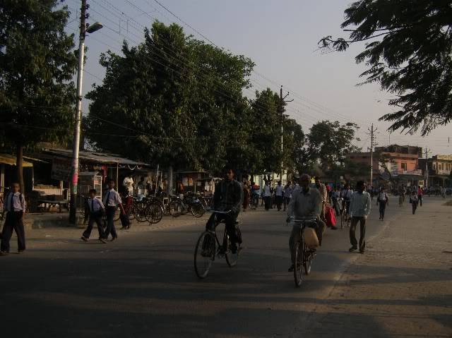 PB170784-1.jpg