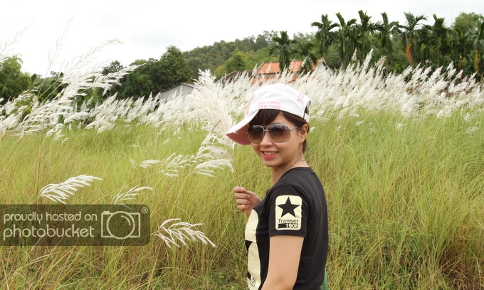 IMG_0142-1_resize_zpsa32ee2c8.jpg