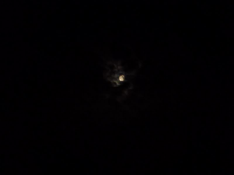 P1030408800x600.jpg