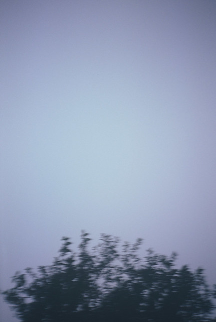 6249092359_a8b40fd65a_z.jpg
