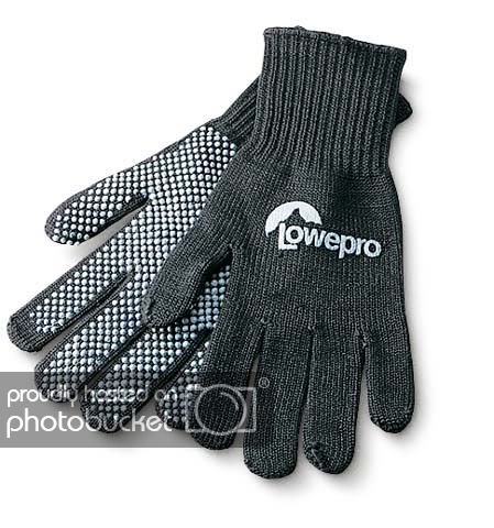 Photo_Gloves_1.jpg