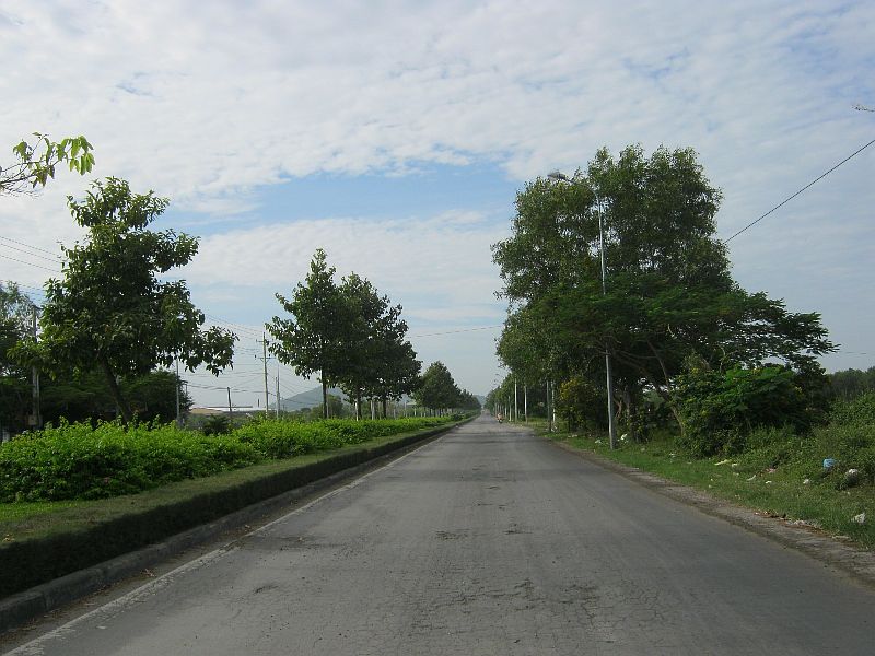 IMG_8558.jpg