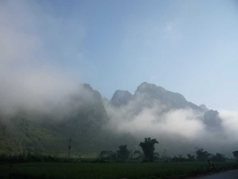 P1010793800x600.jpg