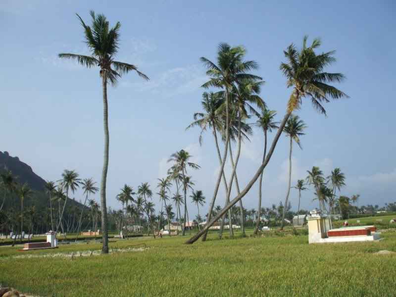 DSCF6785.jpg