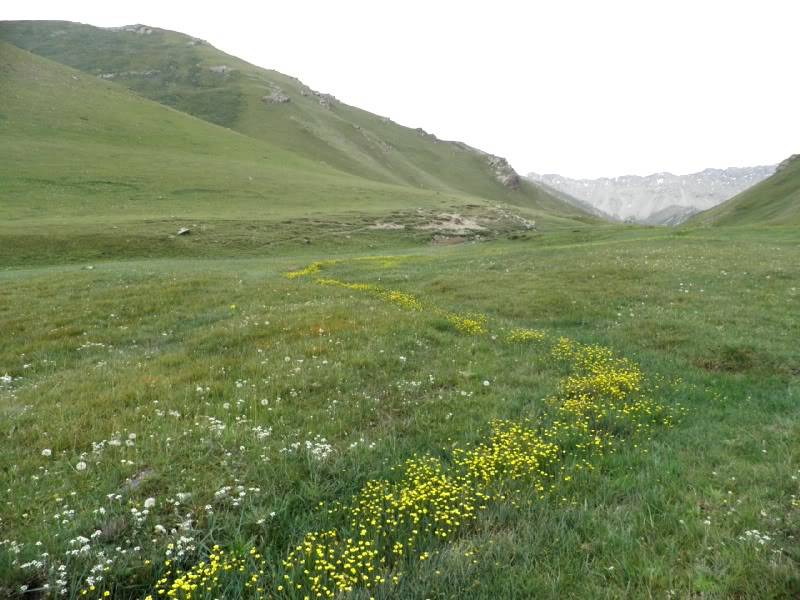 P7293304.jpg